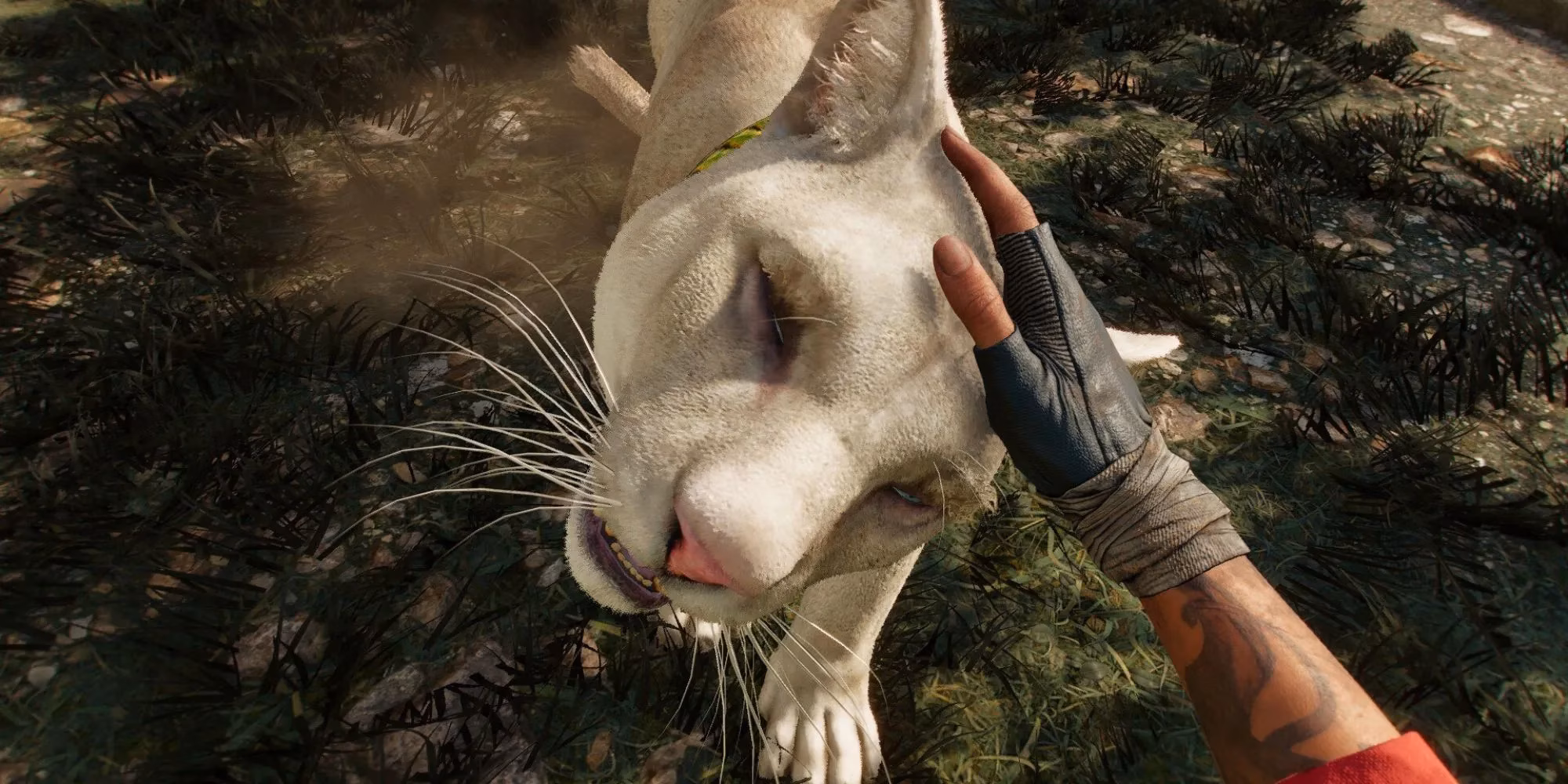 ranking-far-cry-6-s-amigos-from-clucking-chaos-to-phantom-predator-image-5